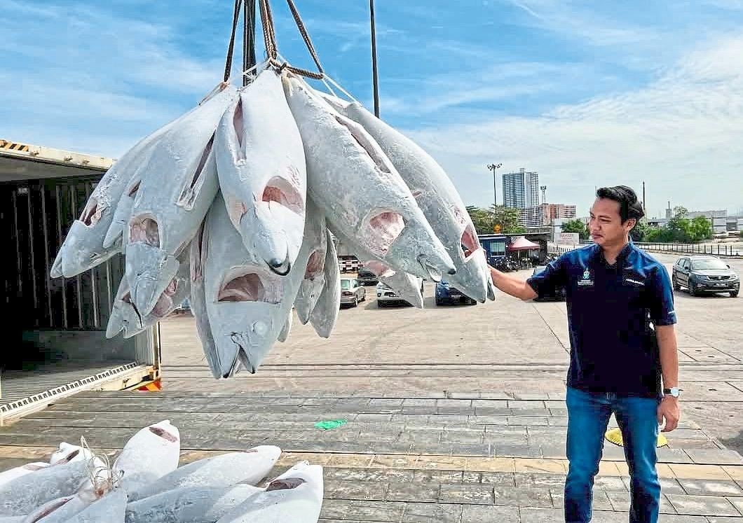 Tuna hub reeling in profits