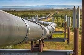 Thailand bids to join Alaska gas project before tariff talks