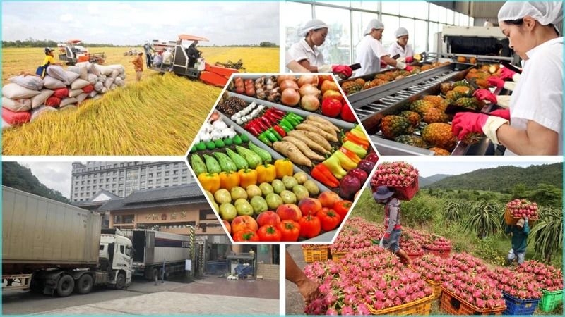 Vietnam plans stockpile of key agricultural products amid global trade volatility