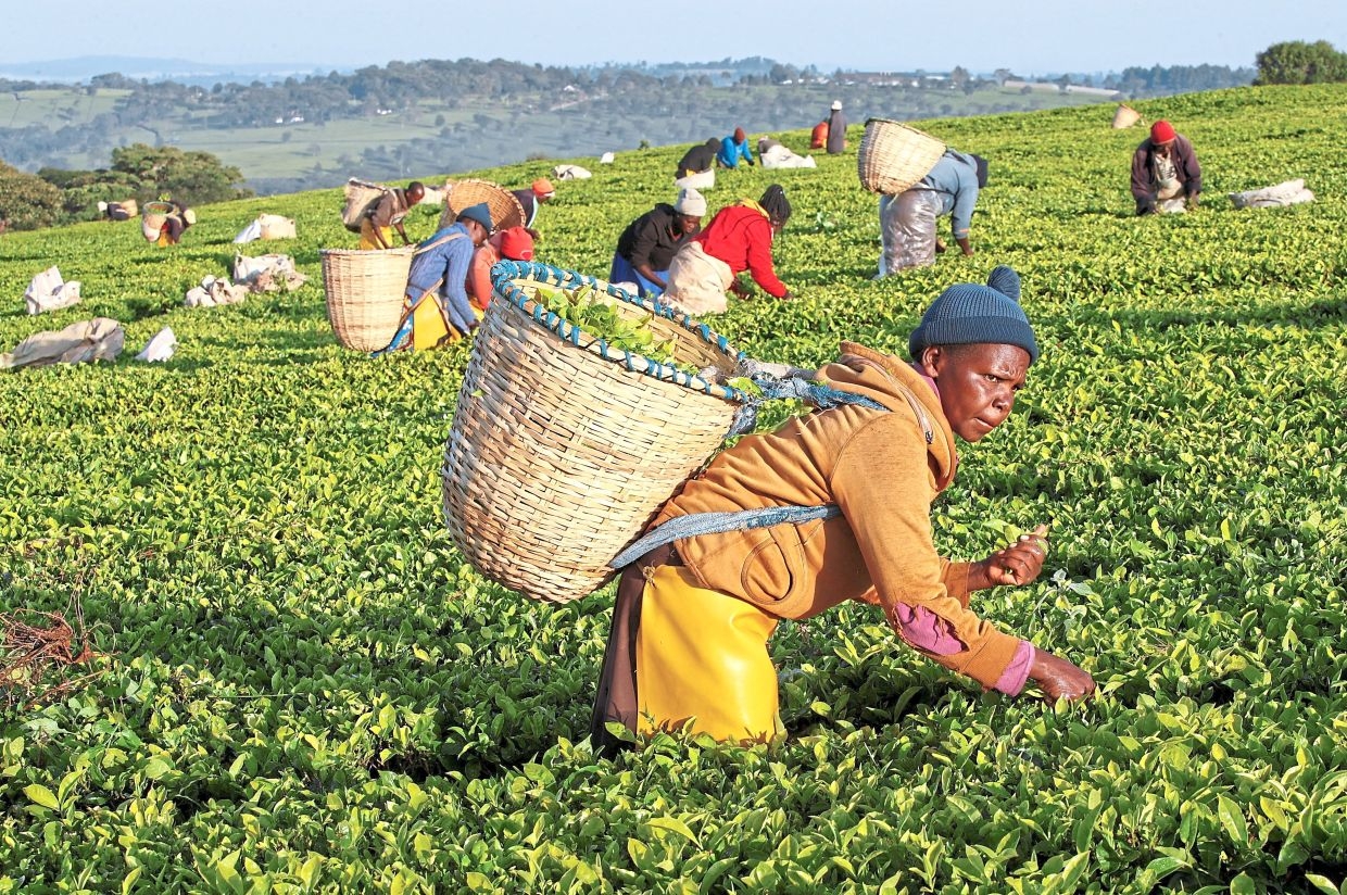 Colonial land feud boils over