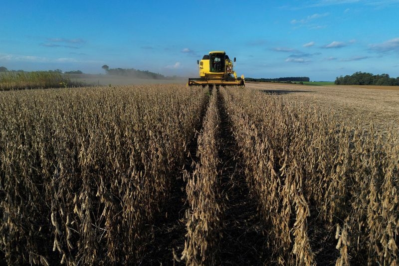 Brazilian researcher who helped country's grain boom wins World Food Prize