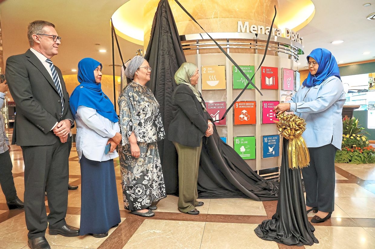 Meeting SDG goals on the ground