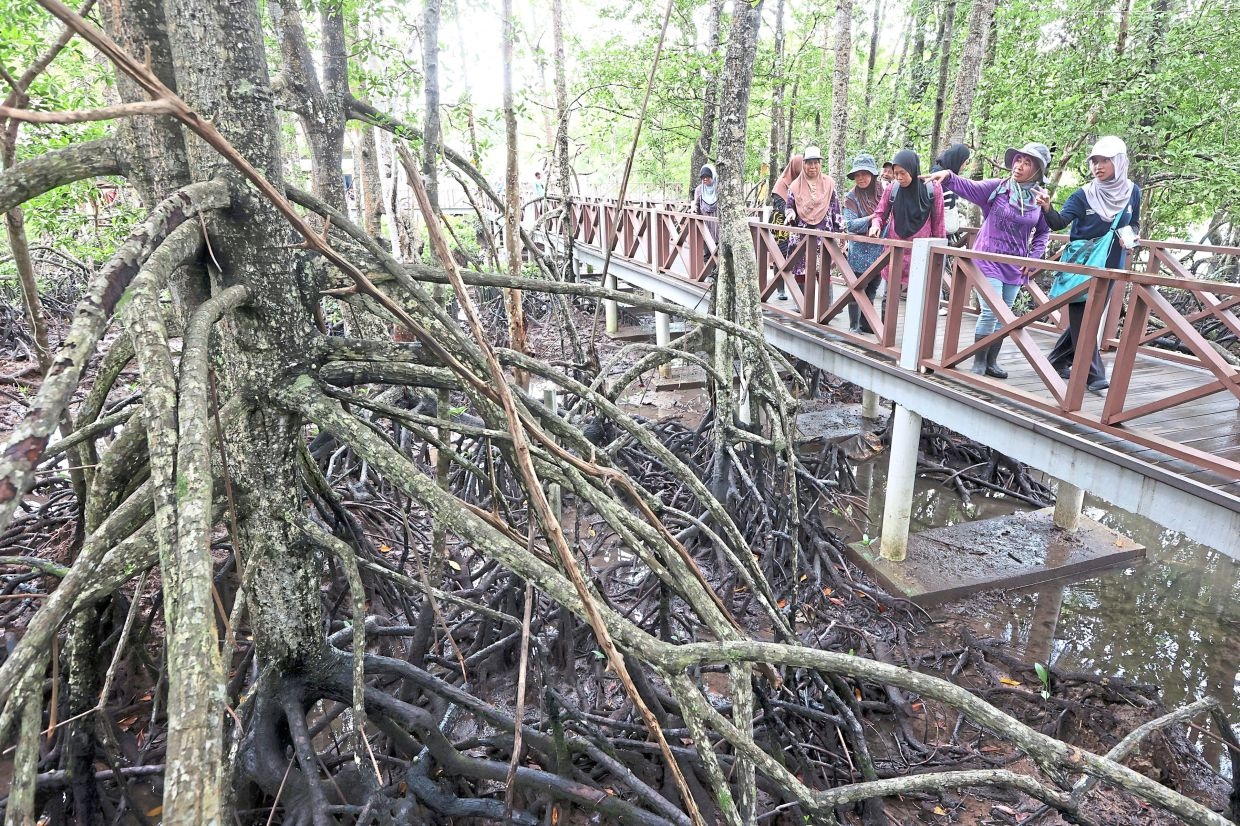 Rejuvenating island from the ground up