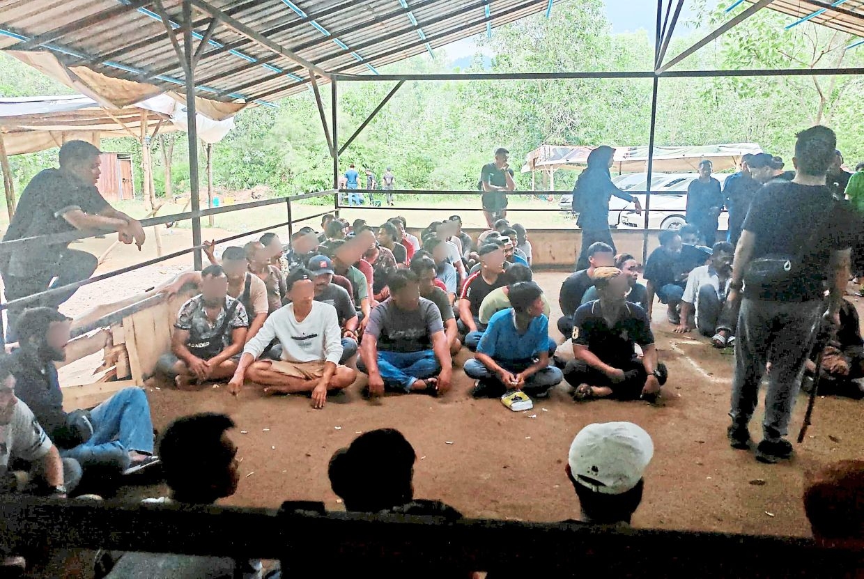 Gamblers didn't bet on raid as cops end cock fights