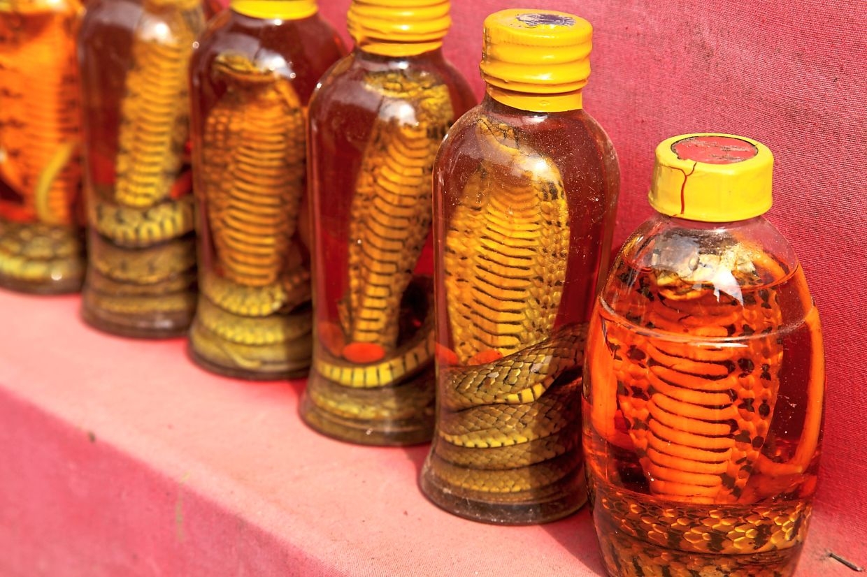 QuickCheck: Was there a real, medicinal snake oil?