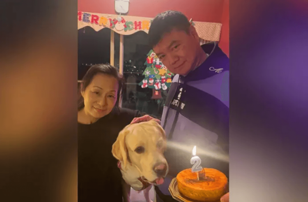 HK star Ai Wai pleads for liver donation for wife: 'She's in critical condition'