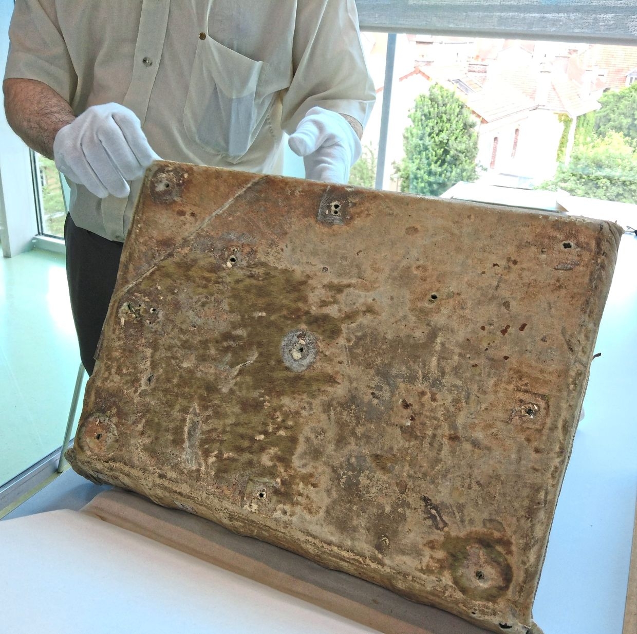 Shaggy surprise on medieval books