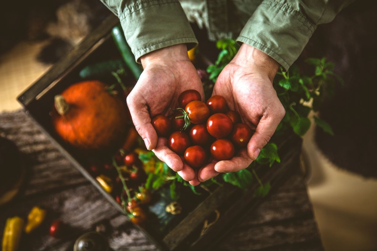 Eat fibre to lower PFAS levels in the body