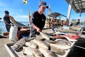 Brunei holds fish carnival at Muara Port in celebration of improving fisheries sector