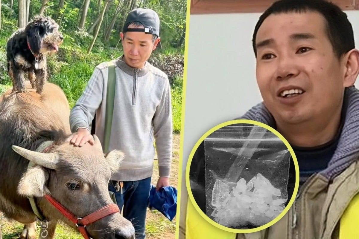 ‘Give me a chance': Chinese influencer exposed as ex-convict sparks mixed reactions online