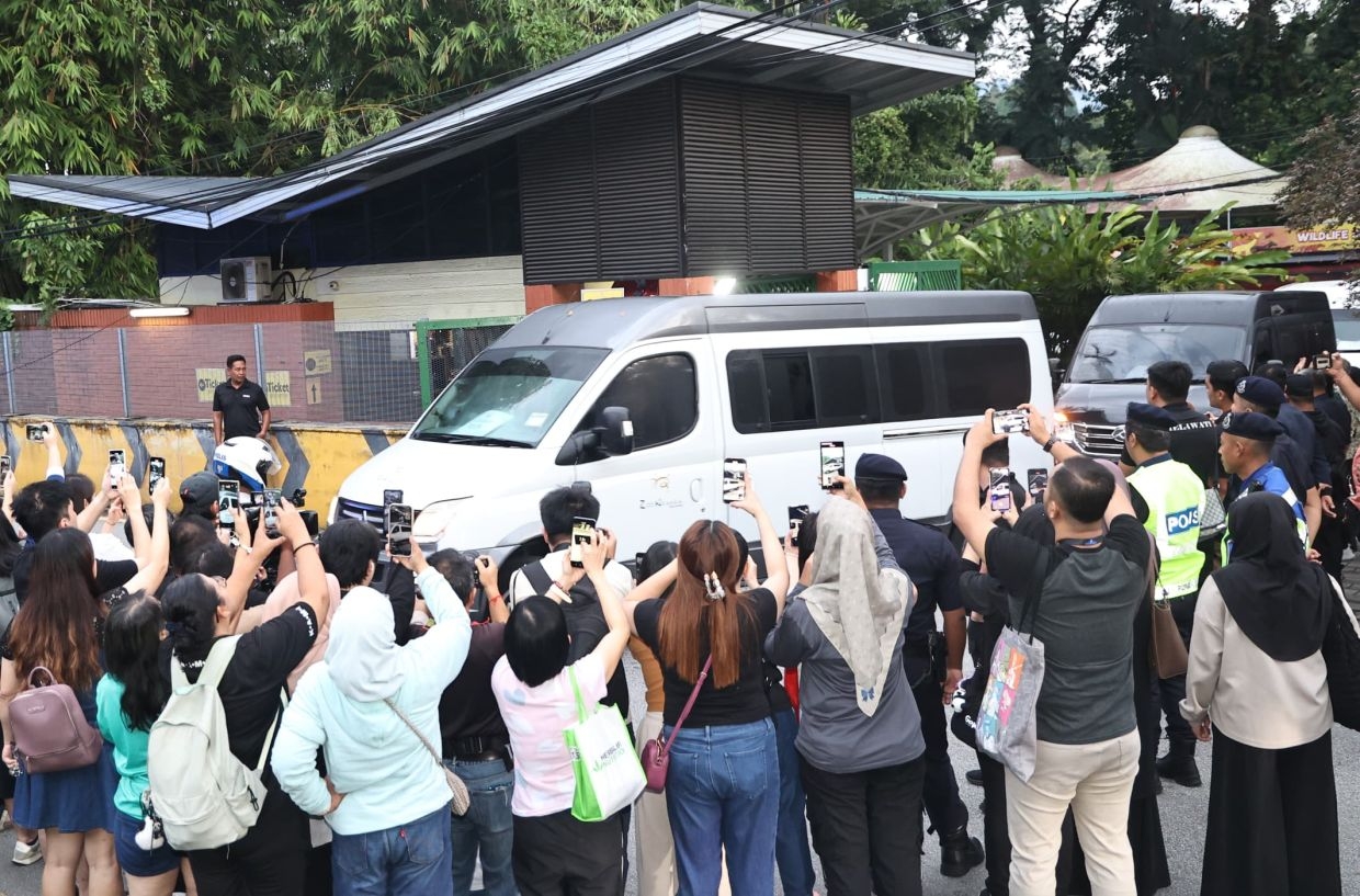 Goodbye Xing Xing and Liang Liang! Panda fans gather at Zoo Negara for emotional farewell