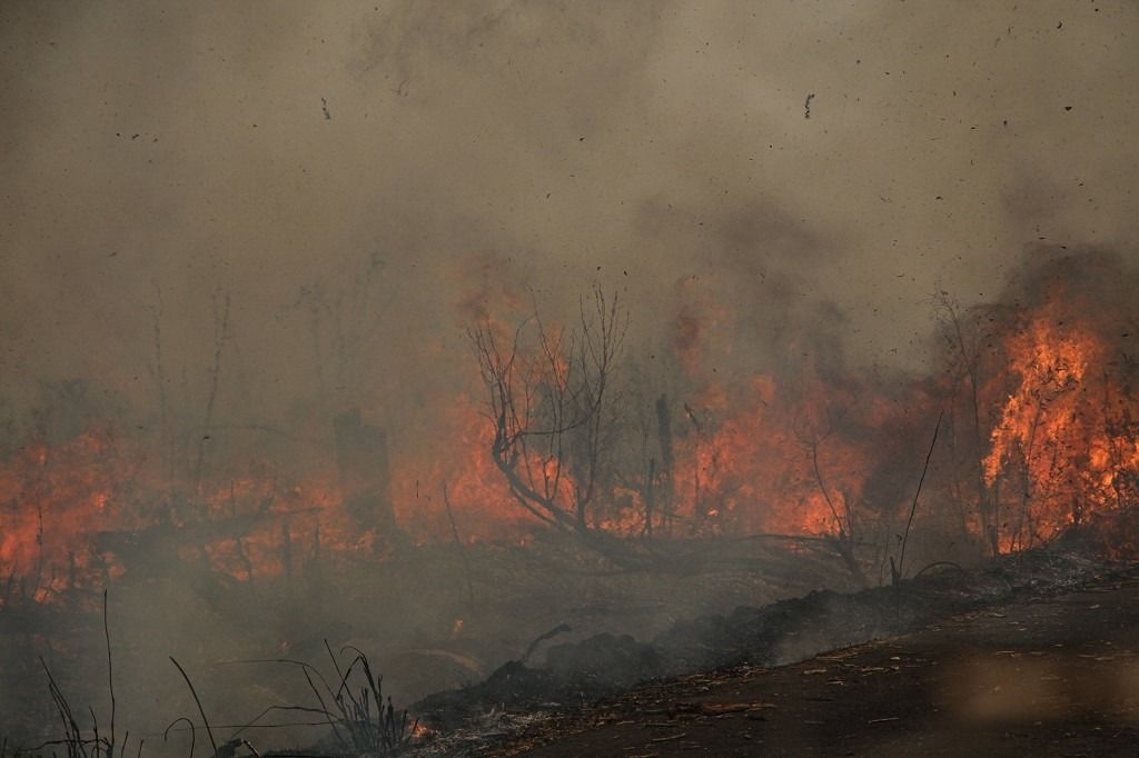 Indonesia braces for forest and land fires ahead of dry season