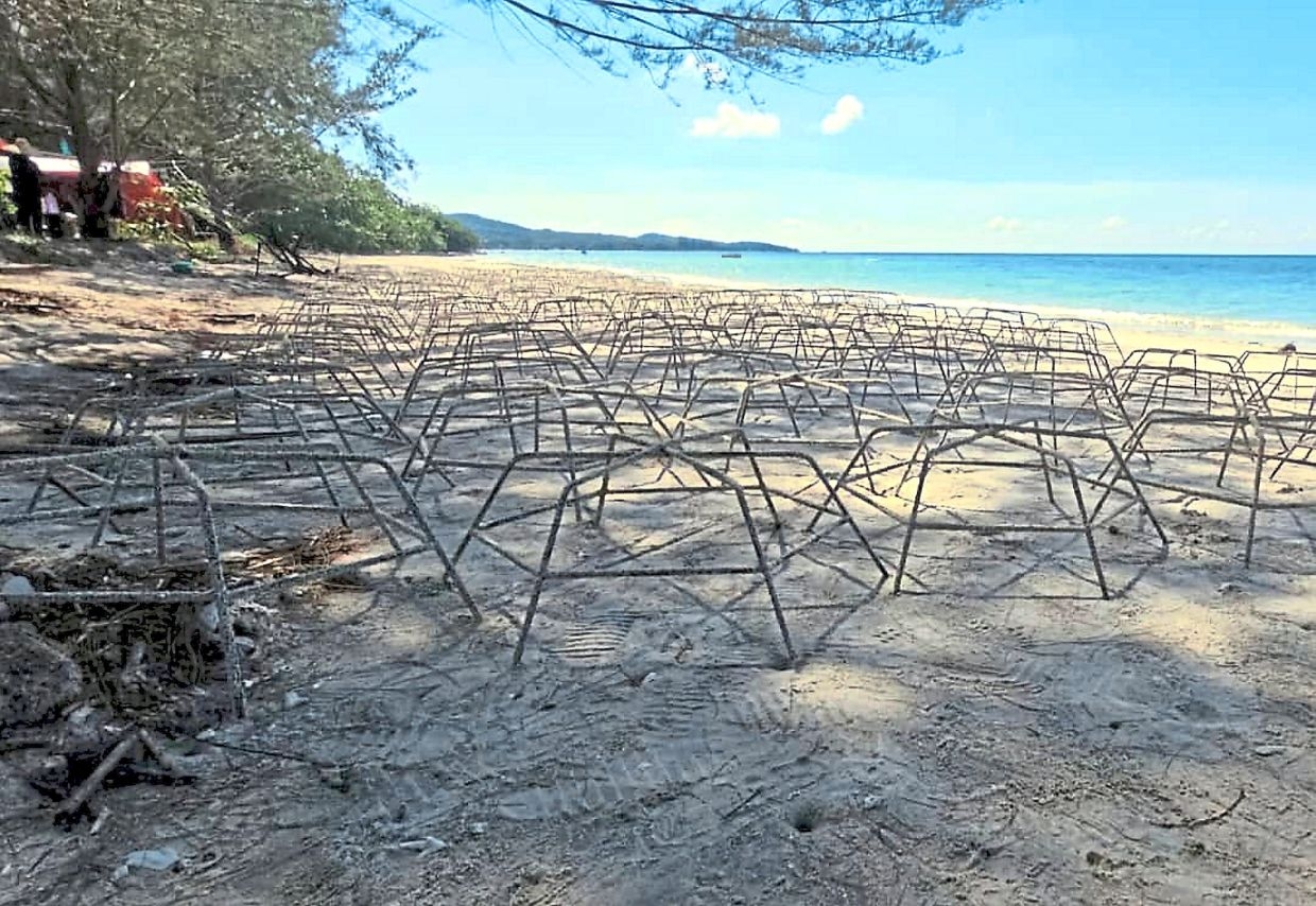 Sabah breaks coral planting record