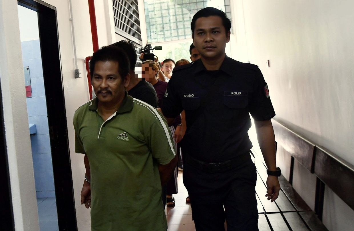 Lorry driver in FRU crash pleads not guilty to concealing stolen cows