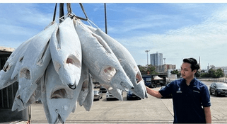 Penang's tuna landing industry surged sharply last year, says exco man