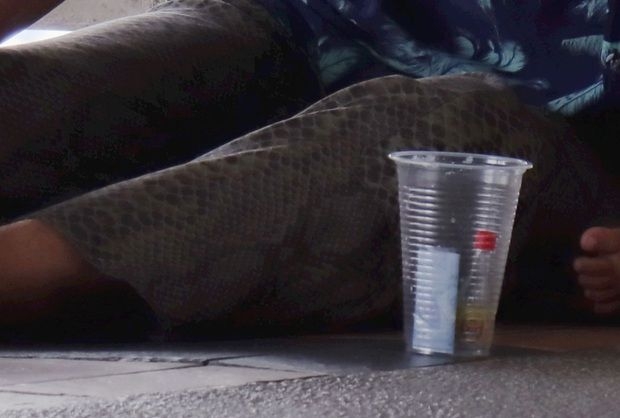 Call to update Destitute Act
