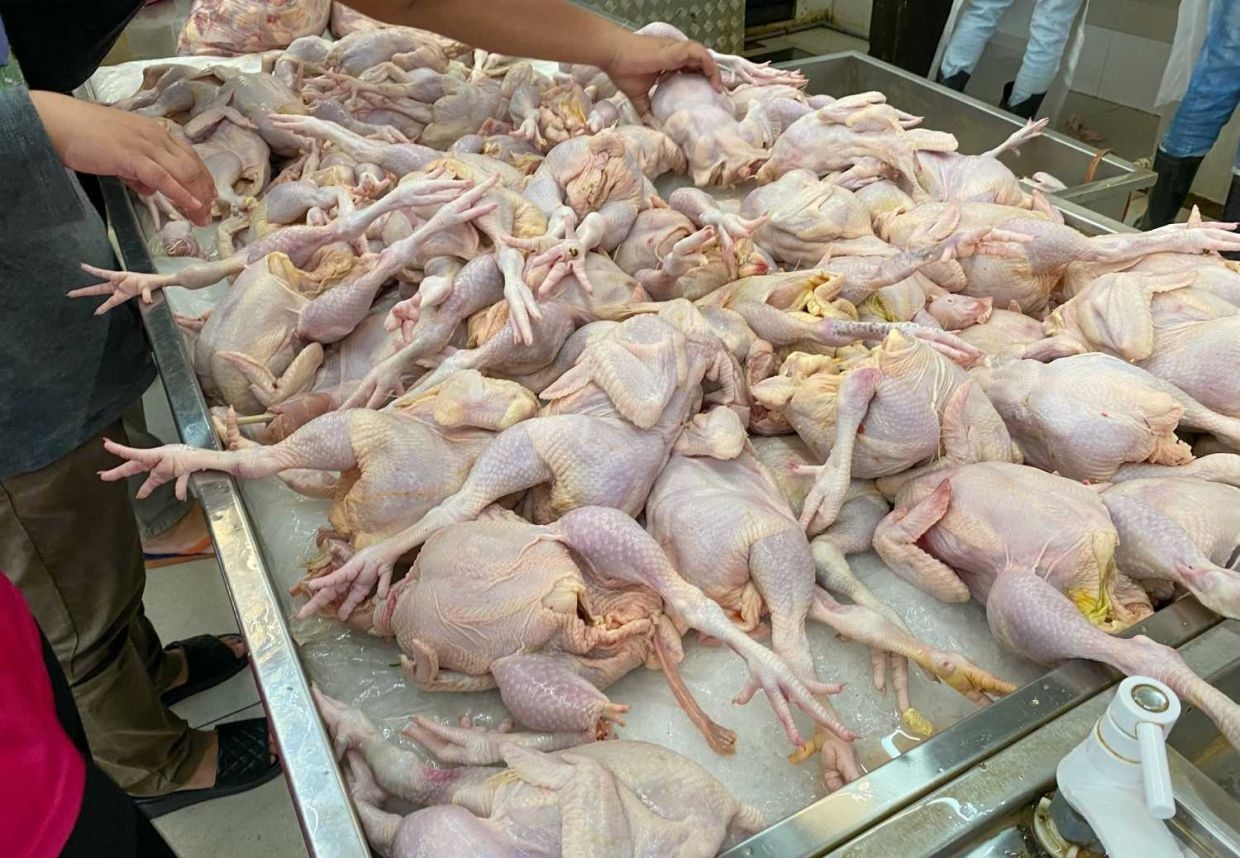 Authorities urged to monitor prices of essential goods during Gawai