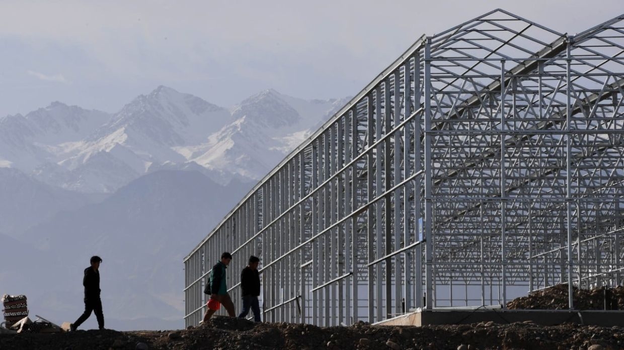 China's ‘vegetable capital' to test farming know-how in UAE's harsh deserts