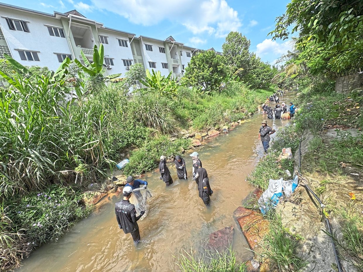 Additional funds to rid S'gor of ‘ikan bandaraya'
