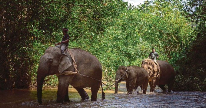 JRTB elephant haven set for 2030 launch