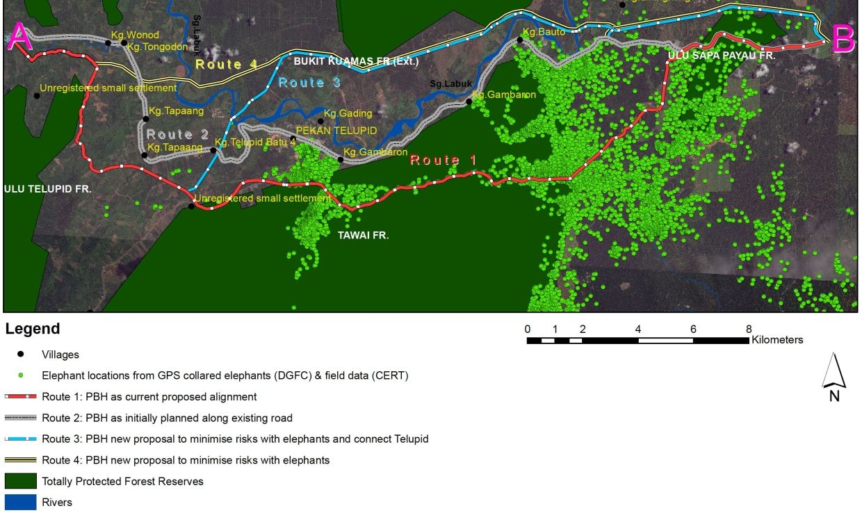 Urgent need for wildlife protection measures on Tawai forest road, say conservationists
