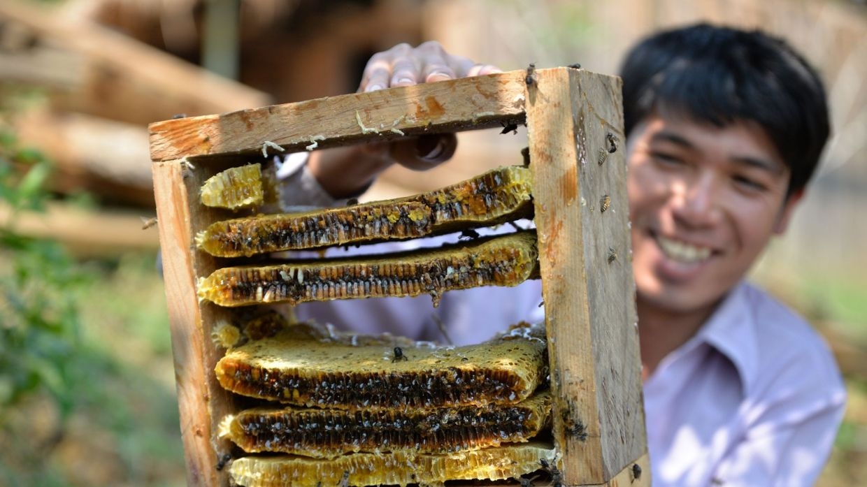 Laos, Switzerland team up to improve vocational education curriculum