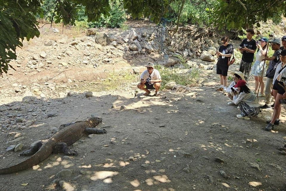 Famed for Komodo dragons, Labuan Bajo rises as holiday hot spot, but overtourism remains a risk