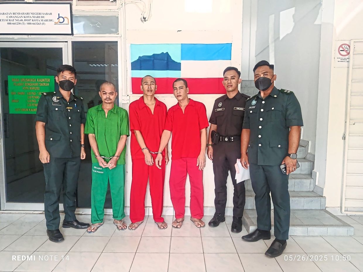Filipinos jailed for having green turtle parts