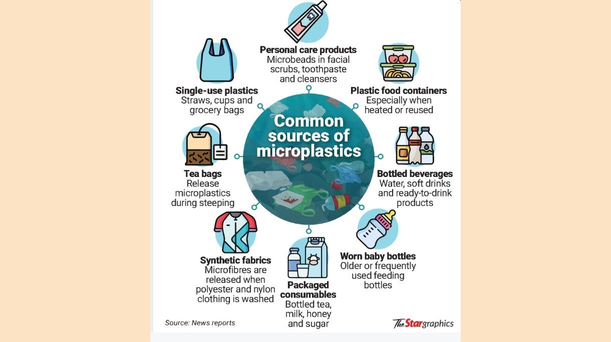 ‘Eat right to reduce microplastic toxicity'