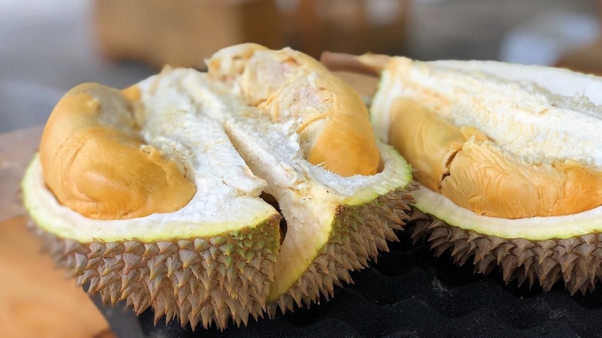Philippine durian gains market access to Egypt