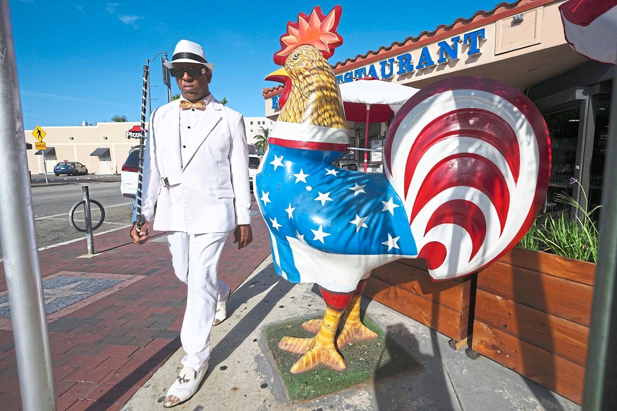 What a clucking sight: The chickens are taking over Miami
