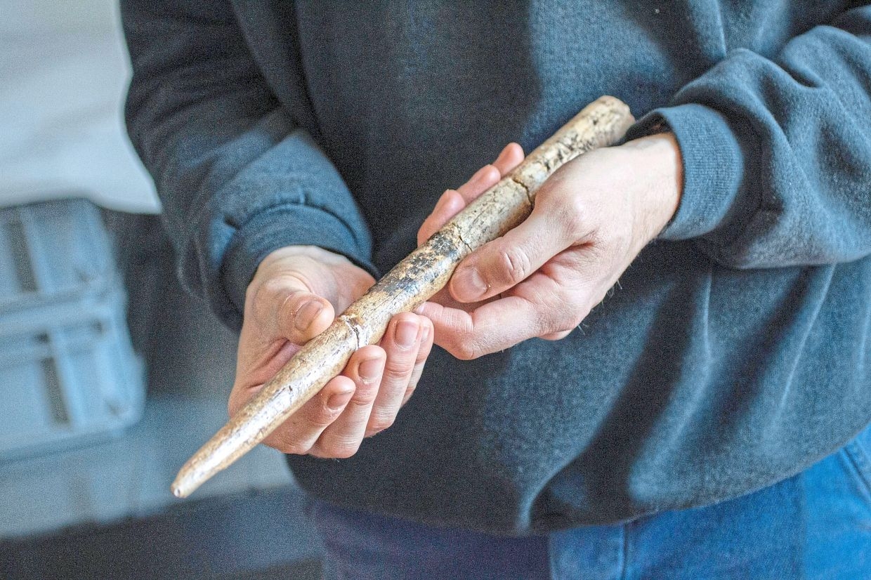 20,000YO whale bone tools are the oldest known evidence of humans using tools