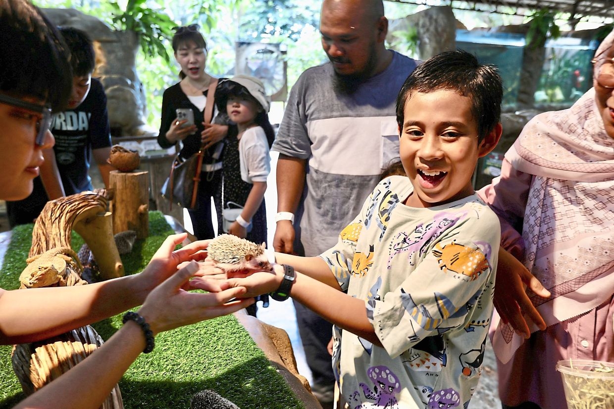 Reimagining the farm with youth