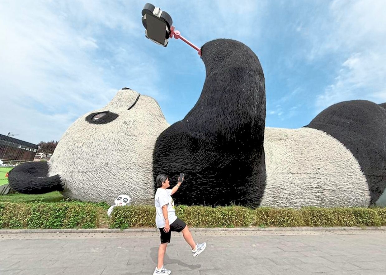 M'sians flock to China's panda tours