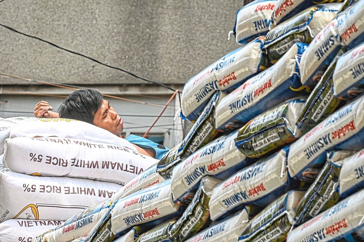 Philippines eyes India, Thailand rice to cut Vietnam reliance