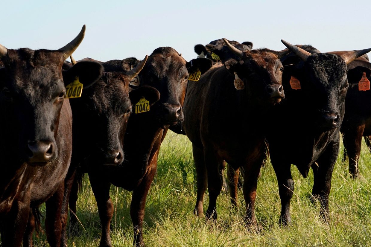 Vietnam firms to sign MoUs to buy US$2 bln of US farm produce