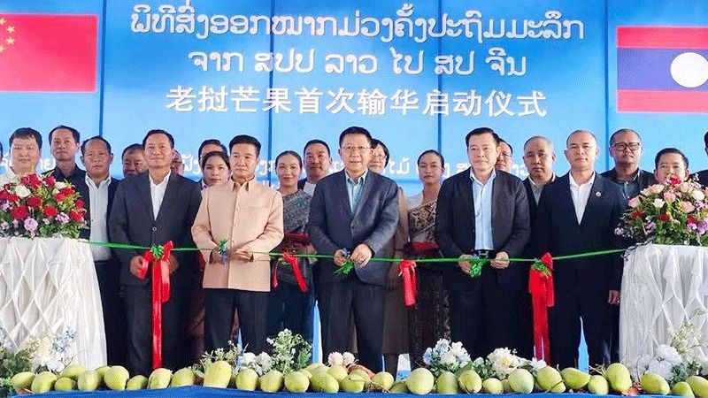 First mango shipment from Laos to China signals agricultural trade era