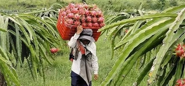 Vietnam to sign agriculture deals with US worth US$2bil; country has the third-biggest trade surplus with the United States