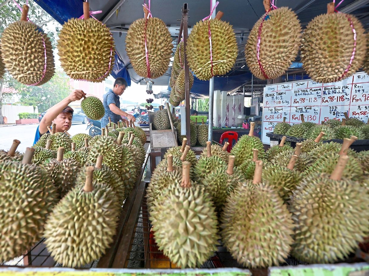 Room and durian a welcome combo