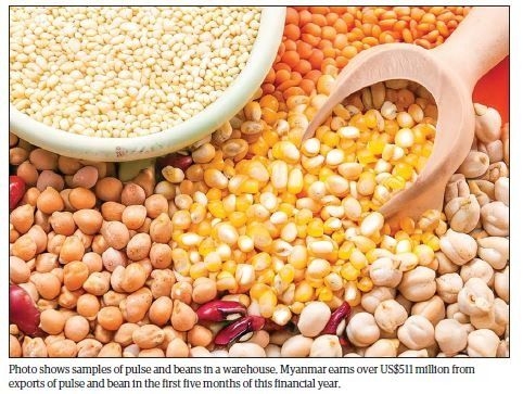 Myanmar aims to export 1.83 million tonnes of beans and pulses in 2025-26 FY