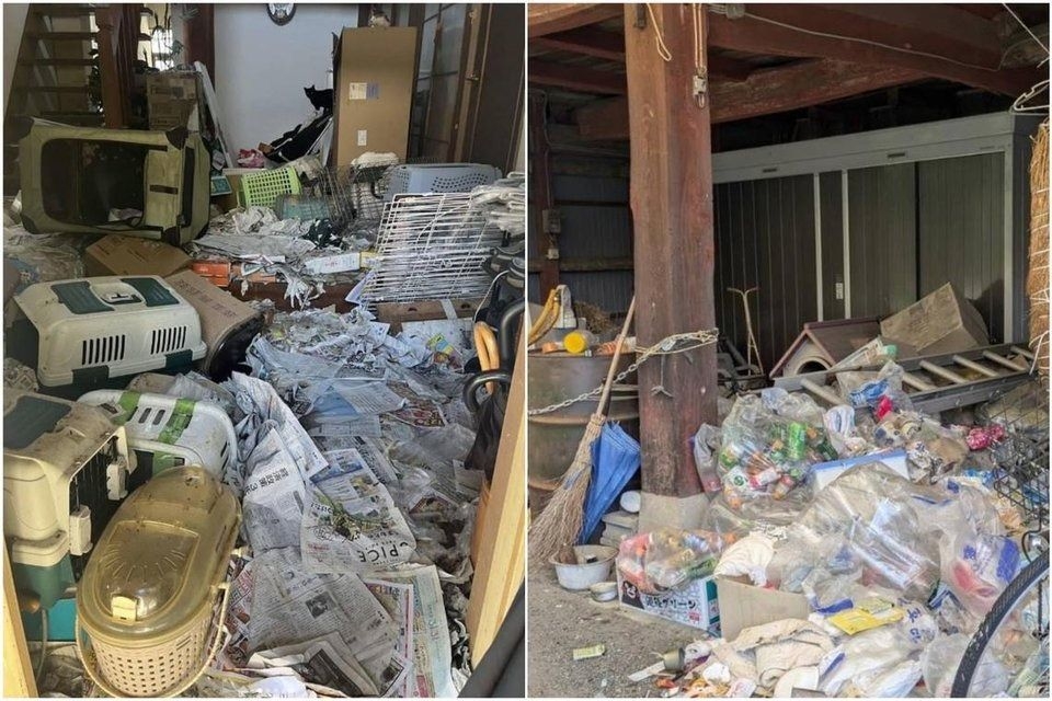 Around 100 dead cats found at Japan woman's home
