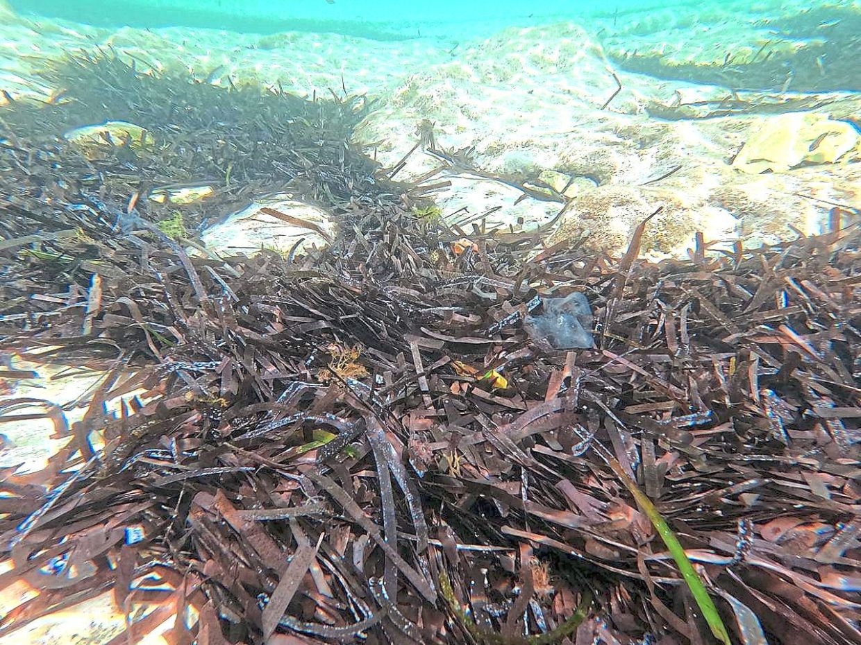 Rising tourism sparks environmental concerns in Croatia