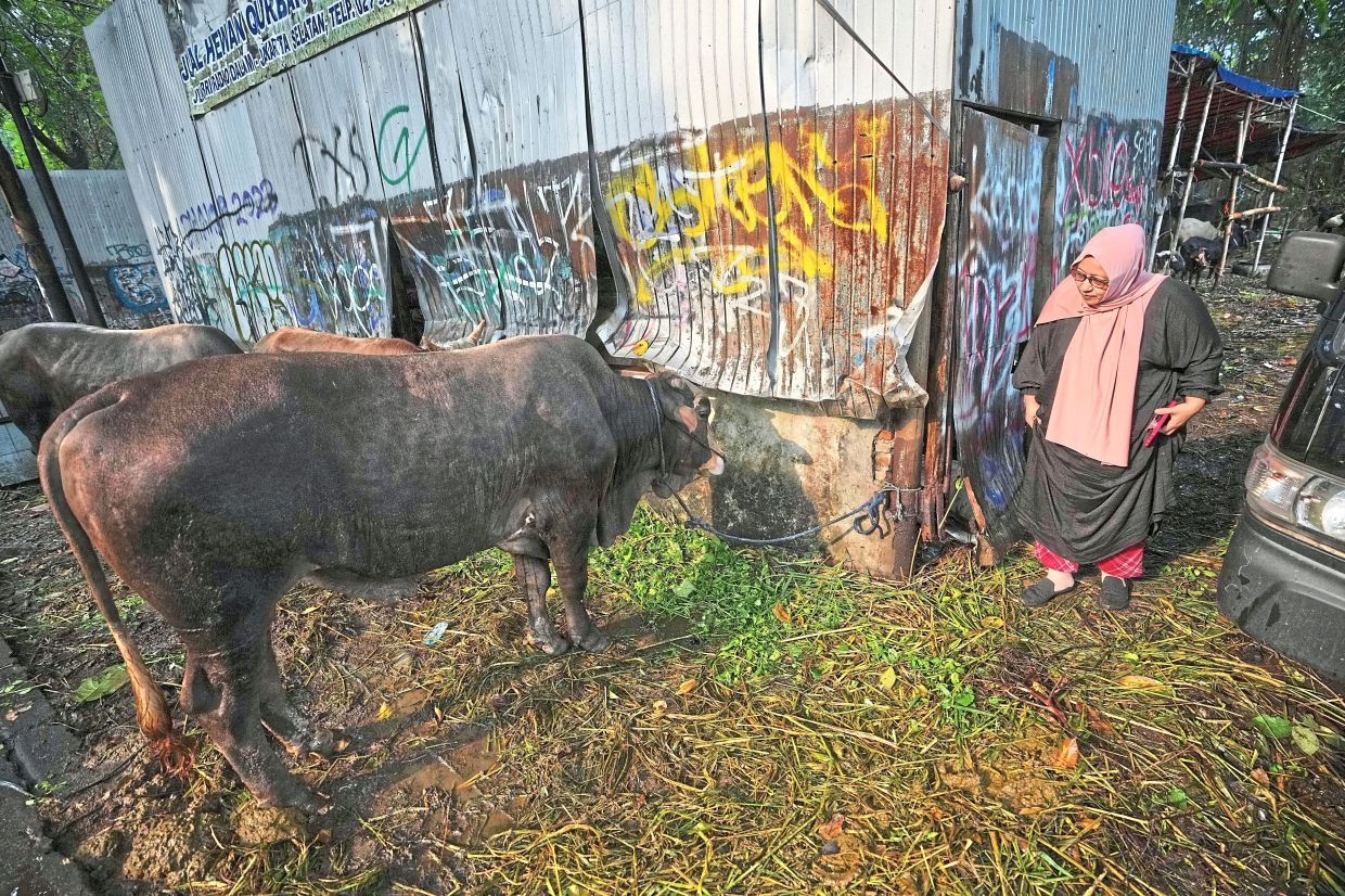 Woman thrives in cattle trading dominated by men