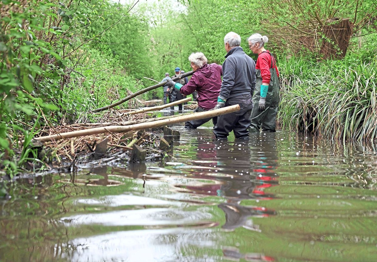 A fluid solution: British towns harness nature to combat rising flood risk