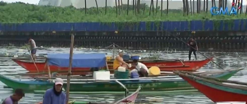 Special feature - Philippine marine life under threat from industrial fishing
