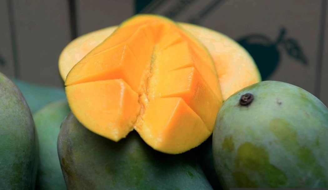 All about Harumanis mangoes: What to know about this highly sought after fruit