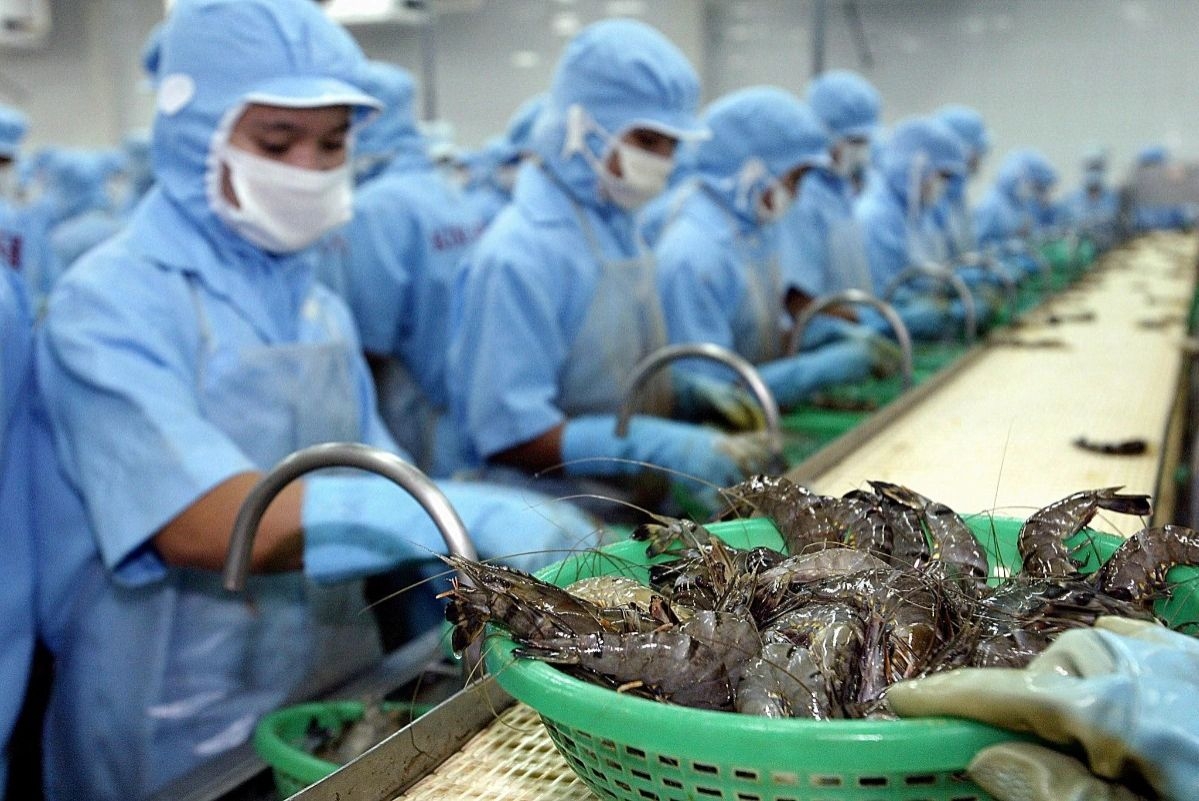 US imposes anti-dumping duty on Vietnamese shrimp exporters