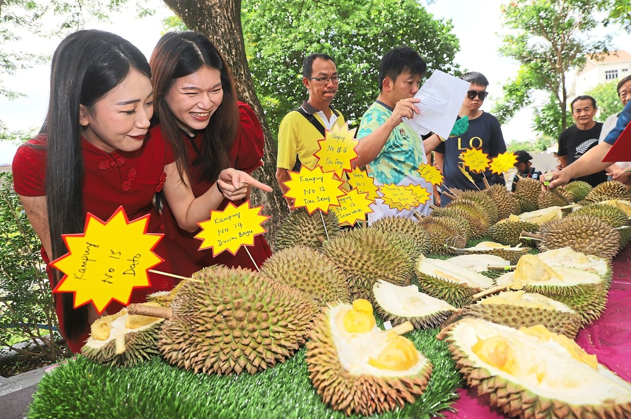 Spike-tacular search for best durian