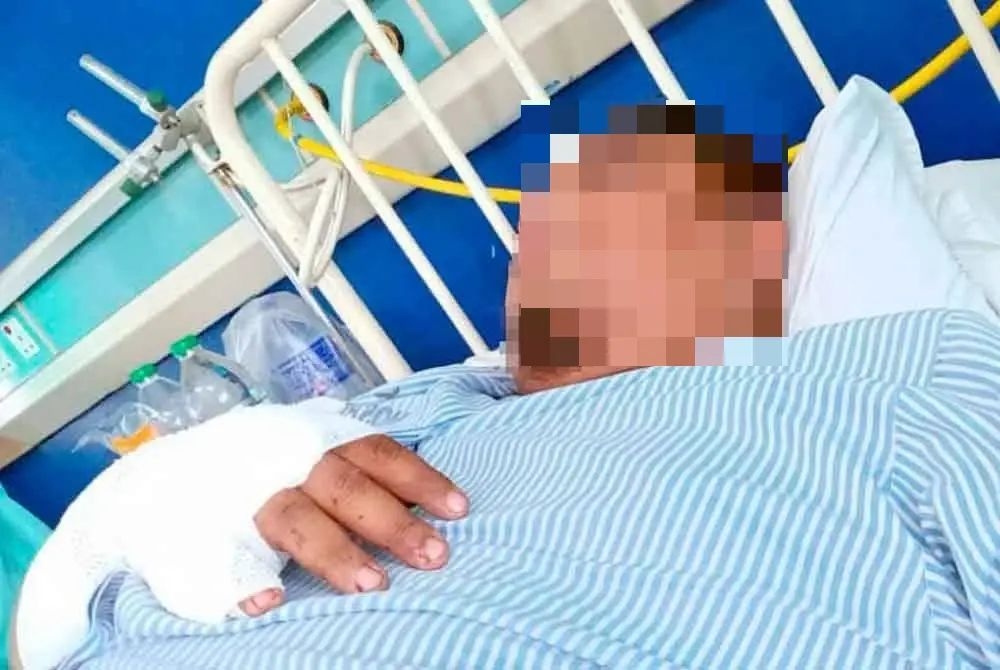 Gerik bus crash: 'I'm sorry, the brakes stopped working' says driver.