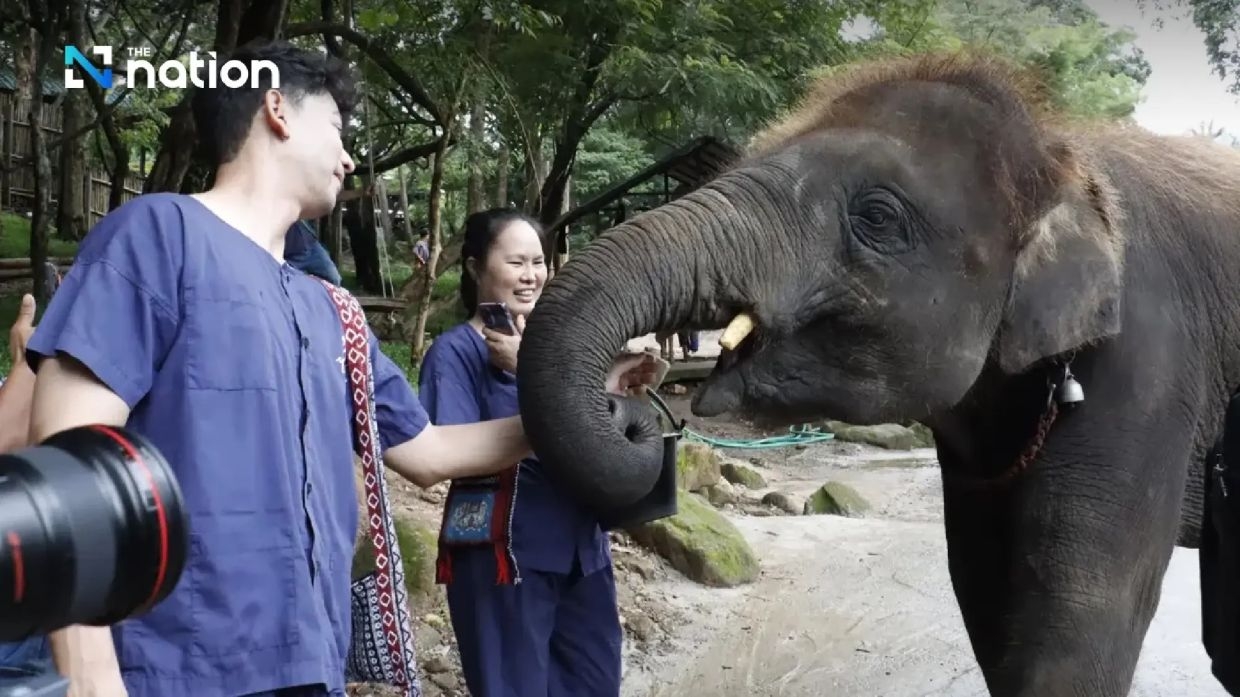 From rides to learning: Thai elephant camps reinvent themselves to survive